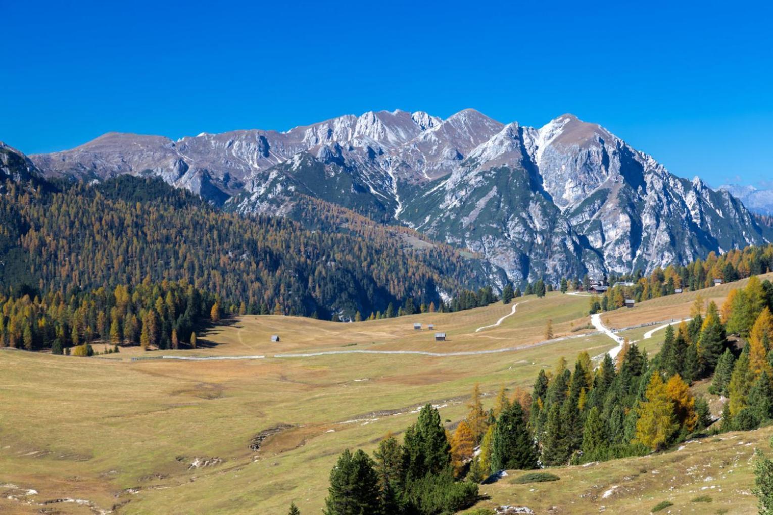 Apartments Stoll Planca di Sopra ภายนอก รูปภาพ